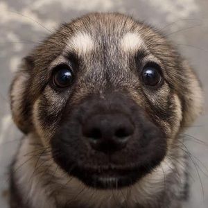 Meet your Posher, Carly